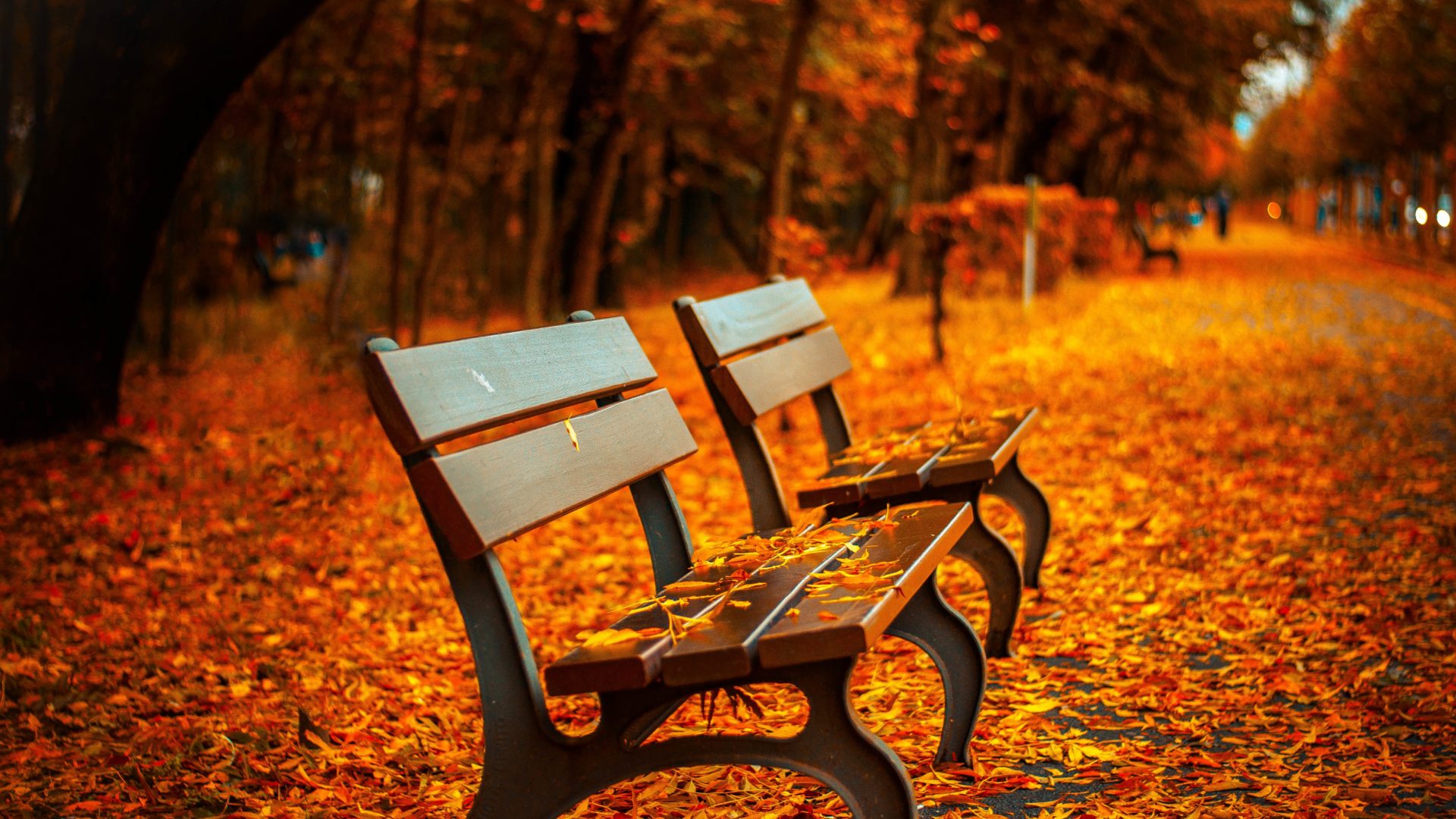 Slide Background